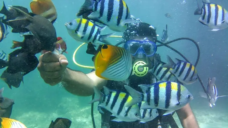 Intro scuba diver in Tanjung Benoa with tropical fish around