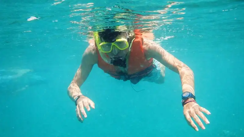 Participant wearing a life jacket while snorkeling