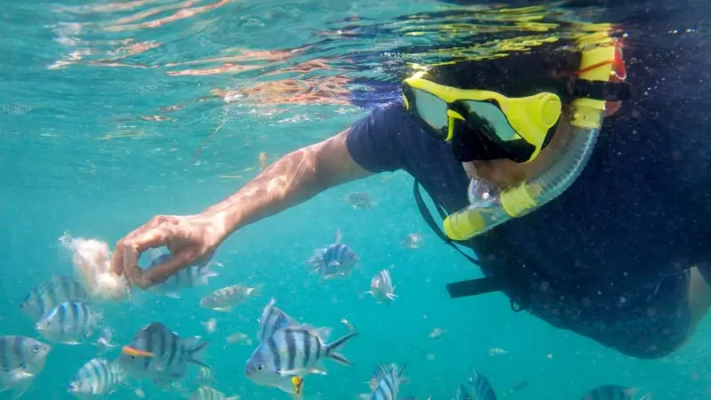 Mask and snorkel used during the snorkeling activity