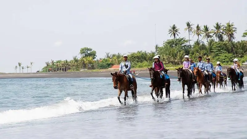 Horse riding on a Bali beach for a light adventure activity