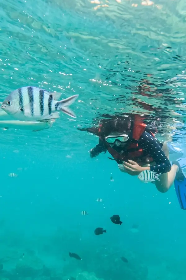 Snorkeler with fish in the coastal water of Sanur