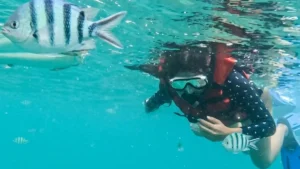Guest snorkeling with fish in Sanur coastal water