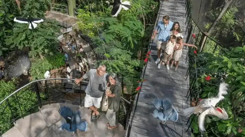 Family walking through Bali Bird Park with children
