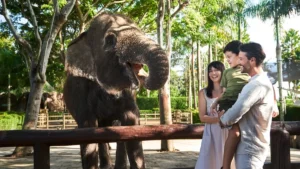 Family watching an elephant during a Bali Zoo visit