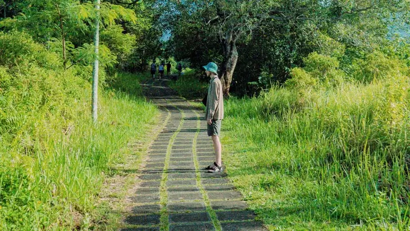 Open path at Campuhan Ridge Walk with limited shade