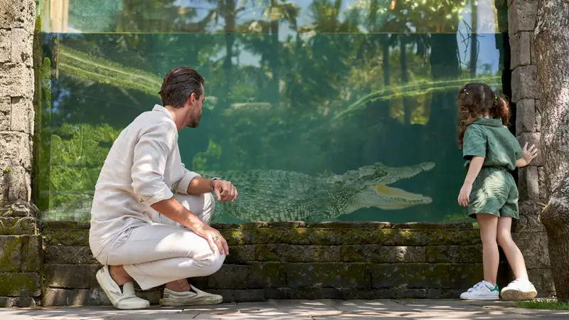 Child and adult viewing a crocodile safely behind glass