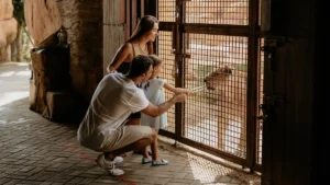 Child and parents watching an animal behind a barrier near Ubud