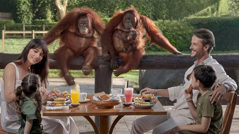 Family having breakfast near orangutans at Bali Zoo